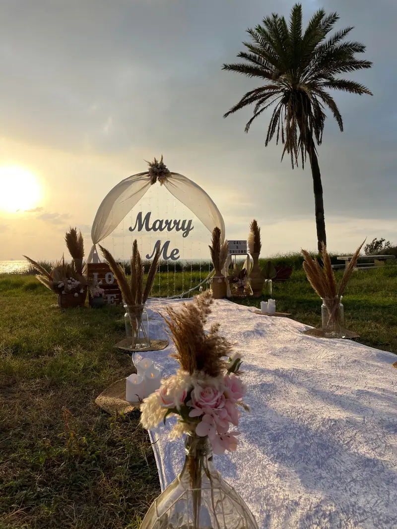 קשת בד לבנה עם שלט Marry Me ופמפס בשדה ליד עץ דקל בשקיעה
